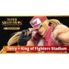 image:imageSuper Smash Bros Ultimate Challenger Pack 5  Nintendo Switch Digital CodeSwitch Digital Code