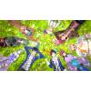 image:imageTokyo Mirage Session FE Encore  Nintendo Switch Digital Code