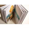 image:imageThe Legend of Zelda Tears of the Kingdom  The Complete Official Guide Collectors Edition