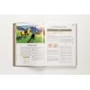 image:imageThe Legend of Zelda Tears of the Kingdom  The Complete Official Guide Collectors Edition