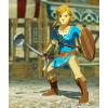 image:imageHyrule Warriors Age of Calamity  Nintendo Switch Digital Code